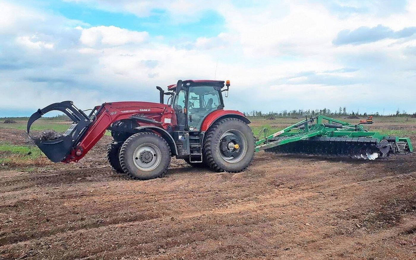 Auch in Kanada stehen die Frühlingsarbeiten an. Das frisch gerodete Feld wird mit der Egge bearbeitet, damit später Futter für die Kühe eingesät werden kann.