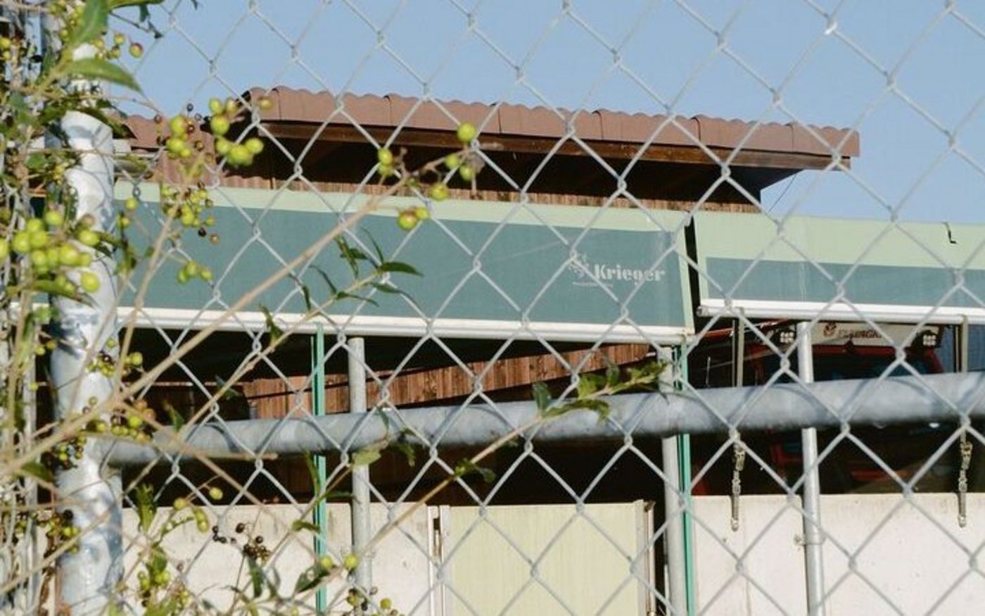 Ausläufe, vor allem in Gebieten mit Wildschweinen, gehören grundsätzlich professionell umzäunt.