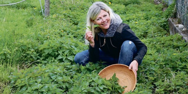 Erika Rebsamen hat einen Pflanzblätz mit Brennnesseln angelegt, sie erntet Samen und Pflanzen für die Küche und verschiedene Produkte. Handschuhe braucht sie nicht beim Pflücken. 