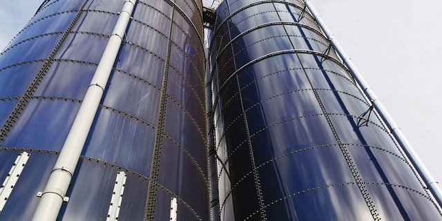 Hochsilos sind speziell auf automatisierten Betrieben im Trend. Entscheidend ist nach der Entnahme der tägliche Vorschub. Die Silos haben häufig einen zu grossen Durchmesser.  (Bild sb)