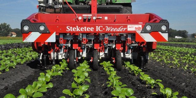 Der Stecketee-IC-Weeder ist eigentlich ein Hackroboter. Er ist jedoch mit der Option Spritzanlage für pflanzenspezifische Spritzung nachrüstbar. Das Gerät funktioniert in Reihenkulturen, die gepflanzt sind. (Bilder Agroscope)