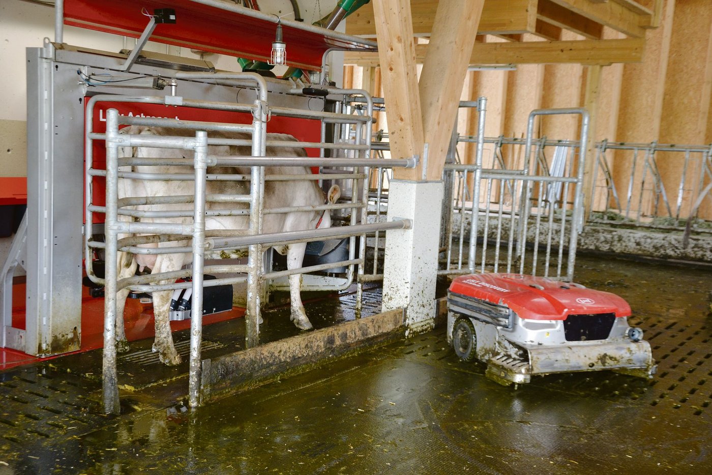 Ein Melkroboter gehört heute auf den grösseren Betrieben schon fast zum Standard. (Bild pf)