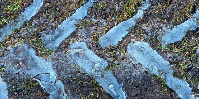 Solange die AP 22+ auf Eis gelegt ist, soll der erweiterte Absenkpfad Pestizide dafür sorgen, dass die Landwirtschaft in Sachen Nährstoffe und Pflanzenschutz weniger ungute Spuren hinterlässt. (Bild Pixabay)