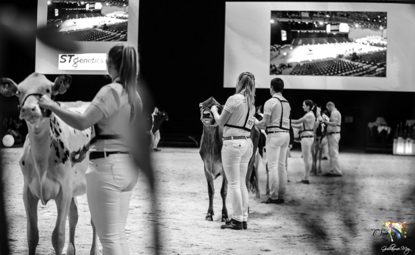 Der Entscheid über die definitive Durchführung wird Mitte Januar gefällt. (Bild Swiss Expo 2020)