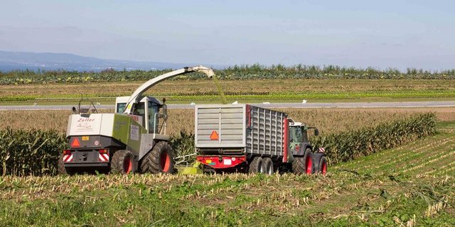 Der Strukturwandel im Kanton St. Gallen verlangsamt sich. (Bild Verena Schönenberger / landwirtschaft.ch)