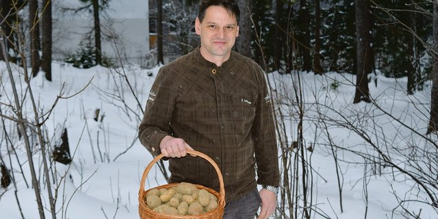 Hansjörg Ladurner präsentiert die Kartoffeln, die er diesen Herbst von «seinem» Bergacker ernten konnte. Für den Küchenchef des Scalottas zählen Qualität und Geschmack mehr als Form und Grösse. (Bilder sgi)