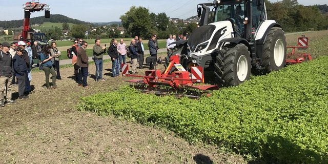 Der gezielte Einsatz von Messerwalze und Scheibenegge reduziert den Kraftstoffverbrauch und Pflanzenschutzmitteleinsatz. (Bild BBZ Arenenberg)