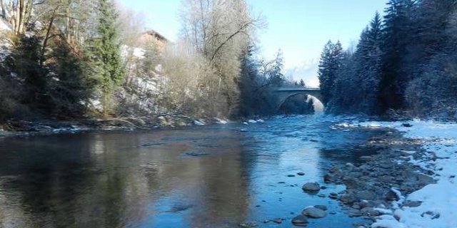 Seit 1850 wurden rund 70 Prozent der Auenlandschaften zerstört. (Bild BAFU)