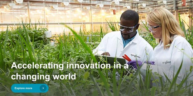 Das Agrarunternehmen plant, vermehrt an bedürfnisorientierter Innovation zu arbeiten. (Bild Screenshot Syngenta)
