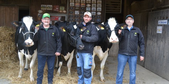 Baldwin, sein Sohn Matthias und Dietmar Schnell (v. l. n. r.) präsentieren hier drei eindrückliche Holsteinkühe.