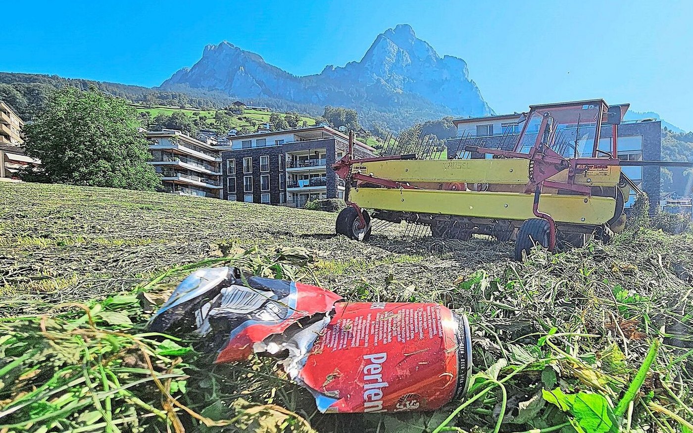 Gerade weggeworfene Aludosen können bei Tieren verehrende Folgen haben.