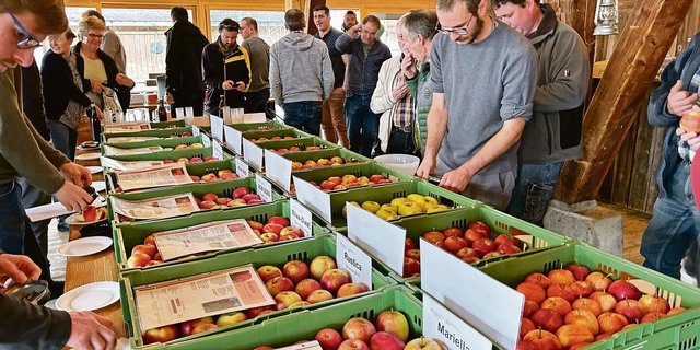 Die Sortenvielfalt von robusten Äpfeln in allen Farben und Geschmäckern zeigte sich an der Sortentagung bei der Degustation, an der alle gerne teilnahmen.