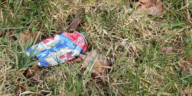 Verschiedene kantonale Bauernverbände machen morgen und übermorgen im Rahmen des Clean-Up-Day auf Littering aufmerksam. (Bild: SBV)