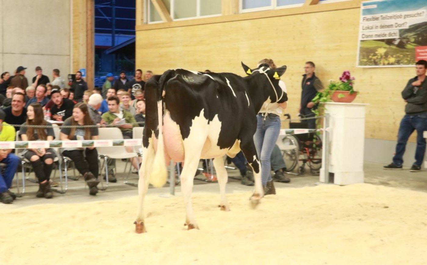 Kaeser Pinch Basilea wechselte für 6000 Franken die Hand. (Bild Ruth Aerni)