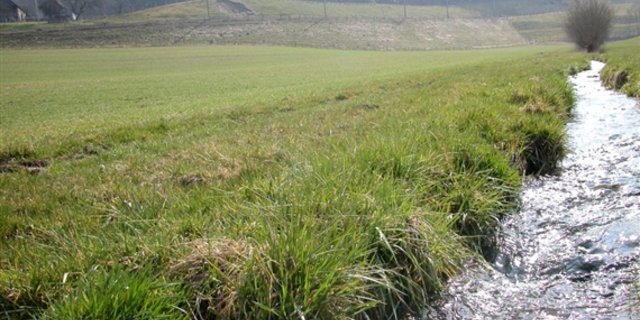 Das Puff um die Pufferstreifen geht weiter: Die zuständige Ständeratskommission UREK-S der Auffassung, dass am Gesetz grundsätzlich keine Korrekturen nötig sind. (Bild: BauZ)