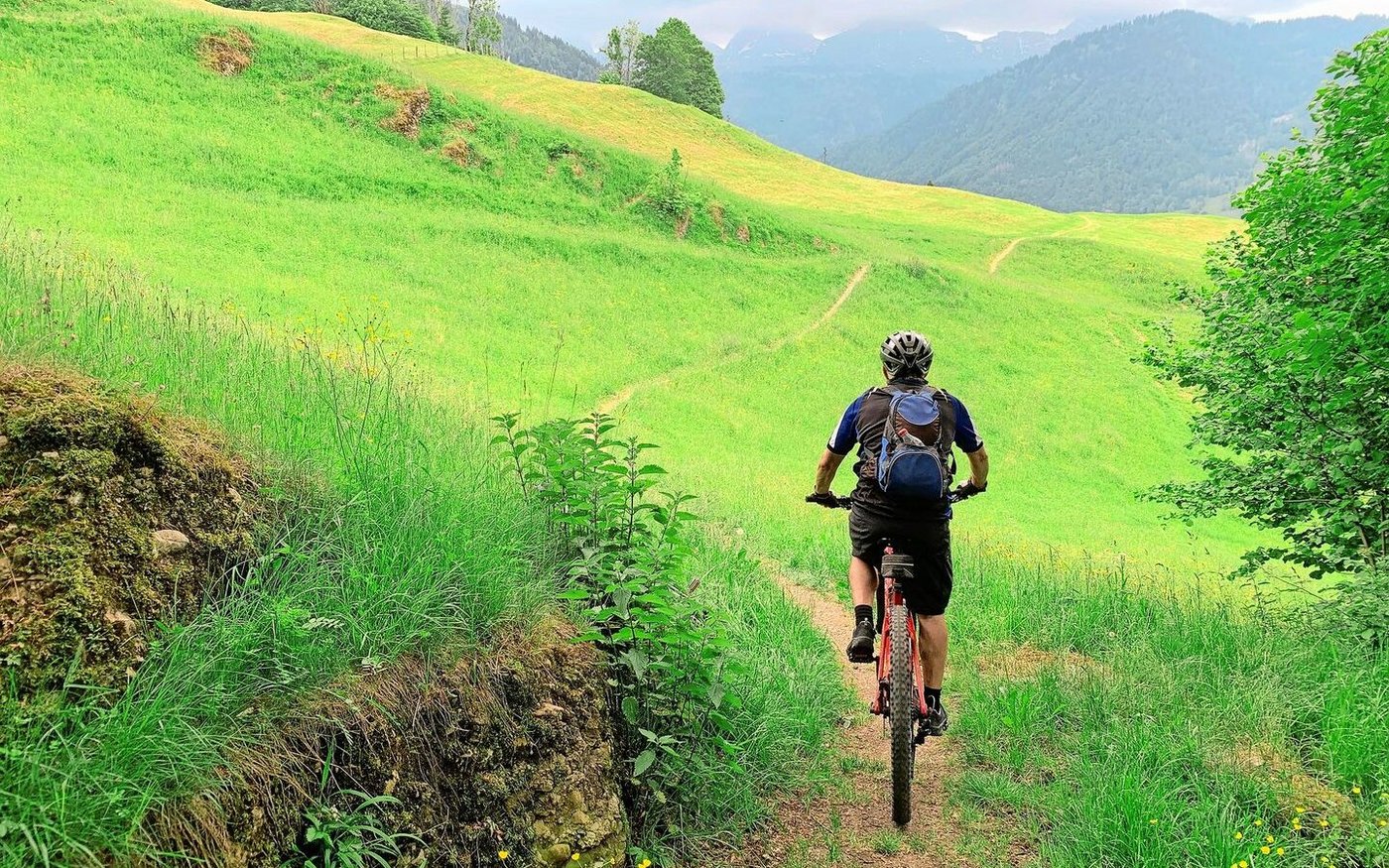 Biker wollen nicht nur auf befestigten Wegen fahren. Ob auf Wanderwegen durch Wiesen und Weiden auch Biker toleriert werden, wird regional sehr unterschiedlich gehandhabt. 