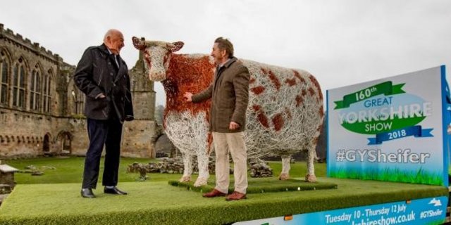 Das Rind soll über zwei Meter gross gewesen sein. (Bild ZvG)