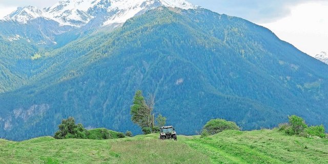Bevor Getreide und Hülsenfrüchte dem Grünland weichen mussten, wurden diese Kulturen auch im Berggebiet angebaut.