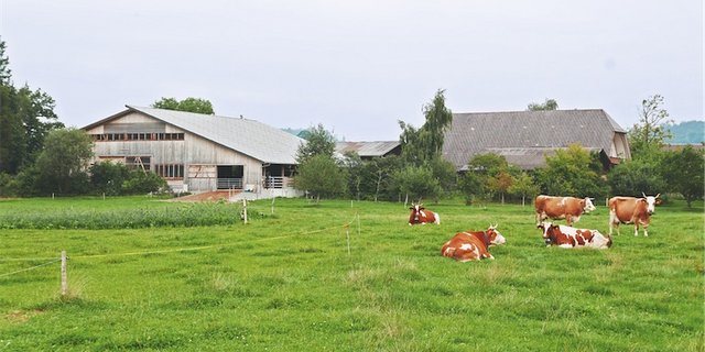 Ein Stall, der sich gut in die Landschaft einfügt und die Ansprüche der Besitzer erfüllt, macht länger Freude. (Bild zVg)
