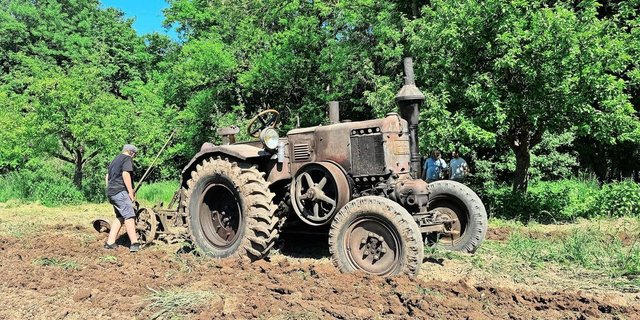 Der «Bulldog» pflügt auch heute noch die Felder. Dieses Model D9506 kommt oft an Wochenenden im Écomusée d’Alsace zum Einsatz.
