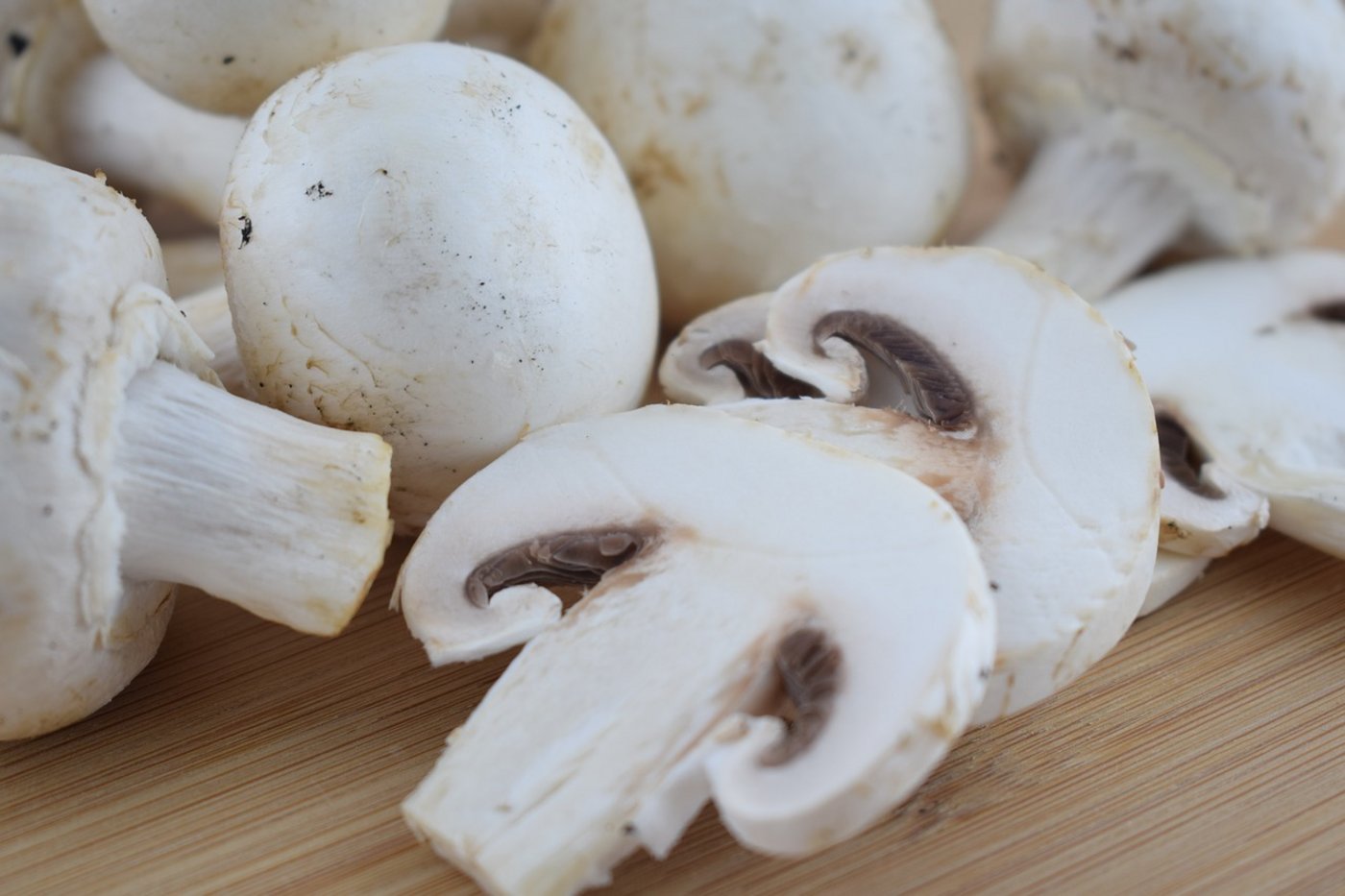 Der Champignons-Markt ist in der Schweiz leicht wachsend, wobei vermehrt Bioware nachgefragt wird. (Bild Pixabay)