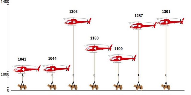 Rund 1100mal pro Jahr kommt in der Schweiz zu einem Helikoptereinsatz, um verletztes oder totes Rindvieh zu bergen. (Grafik BauZ/Daten Rega)