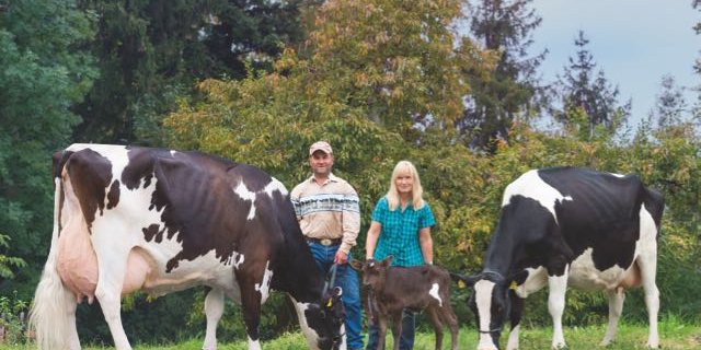 Bladine (links) mit ihrer Tochter Haselbach Top Flight Hollywood und ihrem letztgeborenen Kalb. Sie gehören Manuel und Rosmarie Hasler. (Bilder Giorgio Soldi)