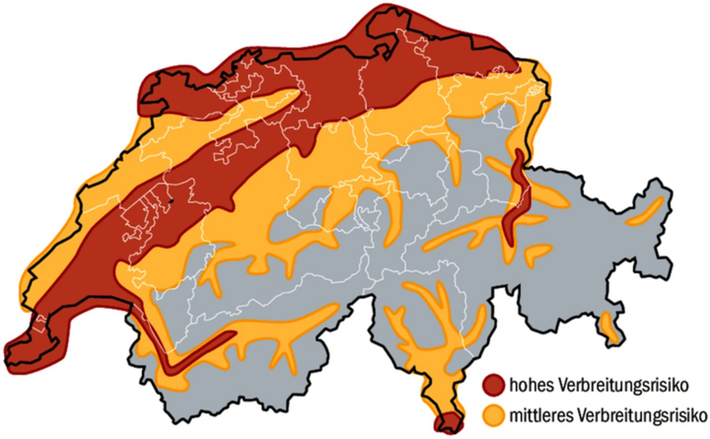 Potenzielle Verbreitung der Asiatischen Hornisse in der Schweiz gemäss bioklimatischem Modell.