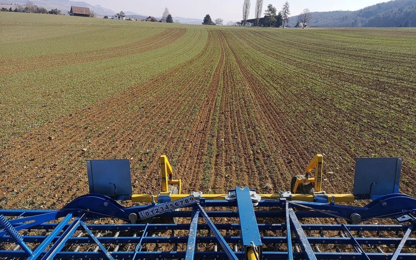Es wird laut Fachleuten eher zu wenig aggressiv gestriegelt. Die Empfehlung lautet, die Einstellungen des Geräts zuerst auf 20 Metern im Feld zu testen und bei Bedarf nachzujustieren. 