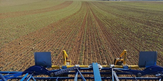 Es wird laut Fachleuten eher zu wenig aggressiv gestriegelt. Die Empfehlung lautet, die Einstellungen des Geräts zuerst auf 20 Metern im Feld zu testen und bei Bedarf nachzujustieren. 