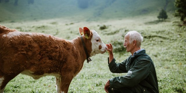 Einen Tag lang «dem Alpleben frönen» – mit Käse und tierischen Erfahrungen. (Bild zVg)