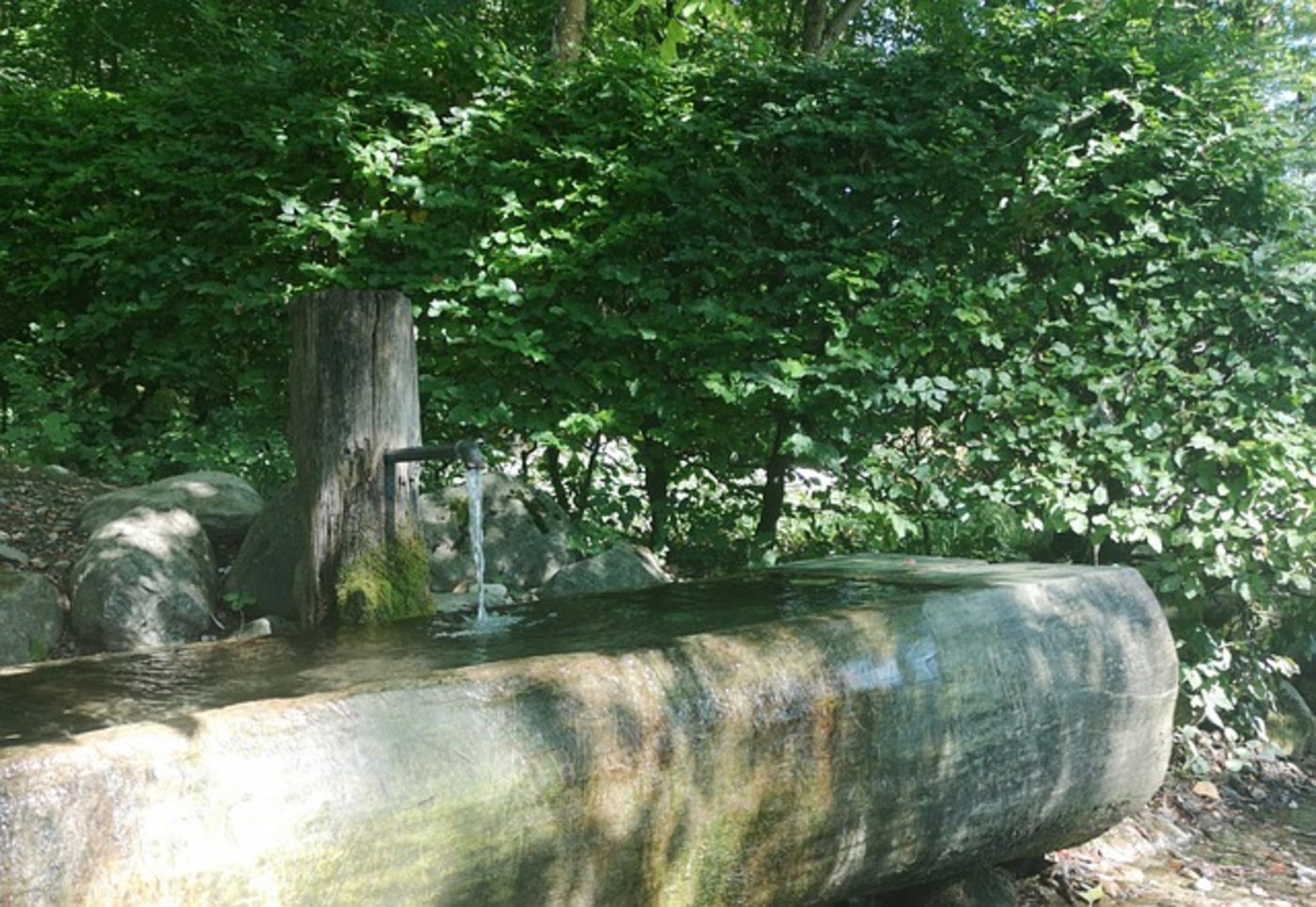 Viele gemeindliche Wasserversorgungen würden berichten, dass die Pegelstände noch nicht das Niveau vor 2018 erreicht hätten. (Symbolbild Pixabay)