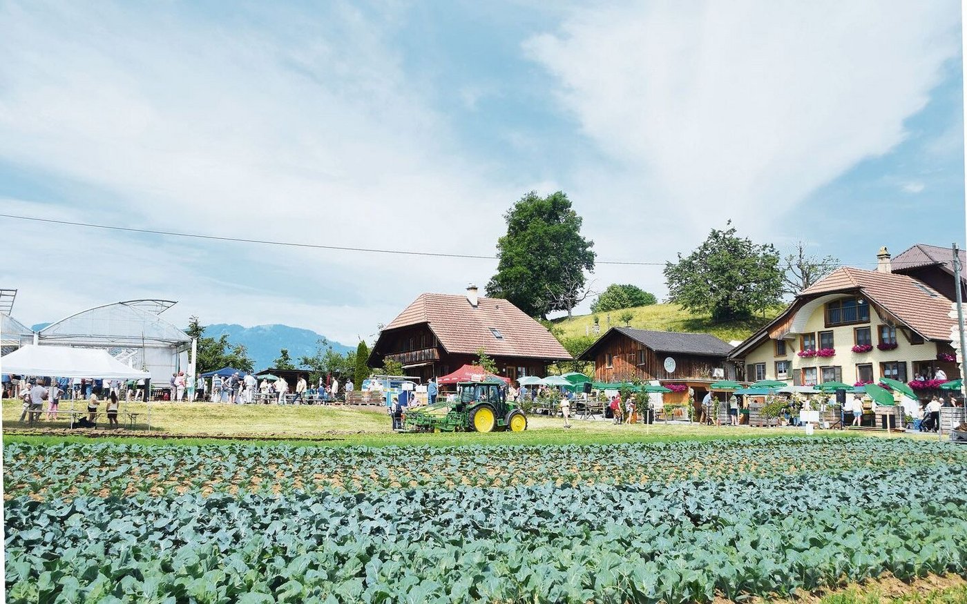 Der Gemüsebau der Familie Feller in Thierachern ist und bleibt eine grosse Leidenschaft.