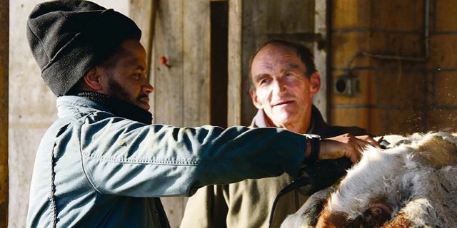 Vertrauen schenken, Vertrauen erhalten: Tesfu Adhanom und sein Lehrmeister Markus Ramser arbeiten im thurgauischen Illhart Hand in Hand. (Bild Curdin à Porta)