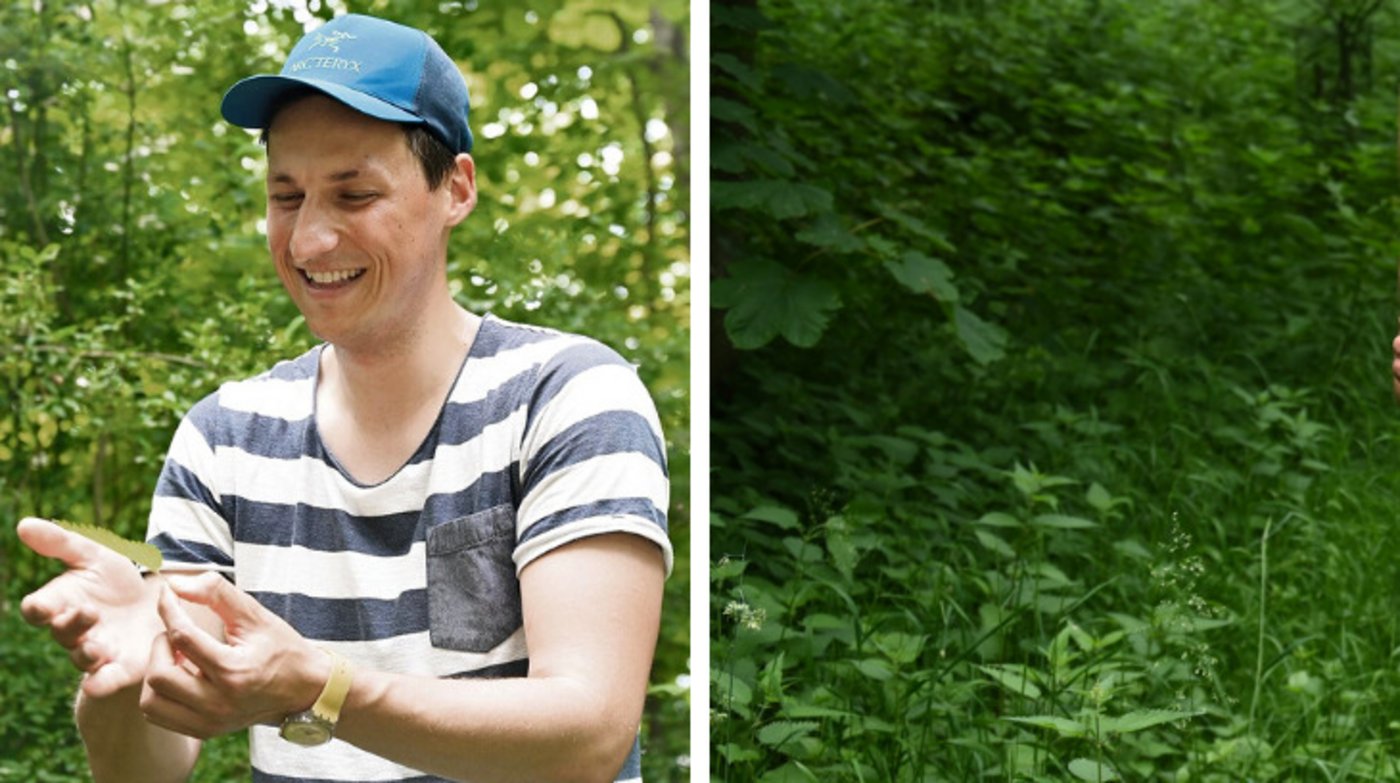 Kevin Nobs ist begeistert von der vielfältigen Pflanze. (Bilder BauernZeitung/aw)