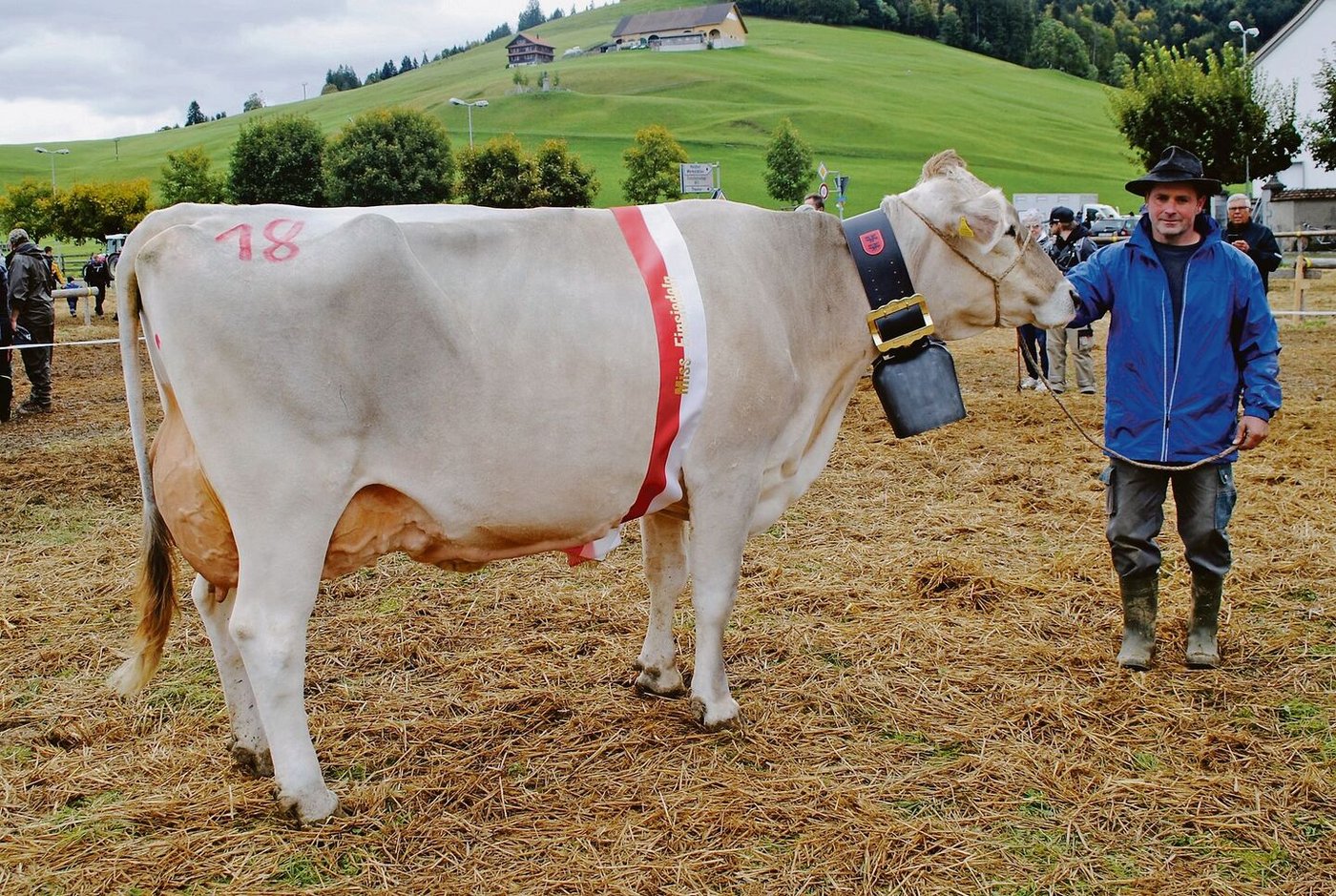 Miss Einsiedeln BS: Die milchbetonte Blooming Jolina von Roland Kälin, Euthal.