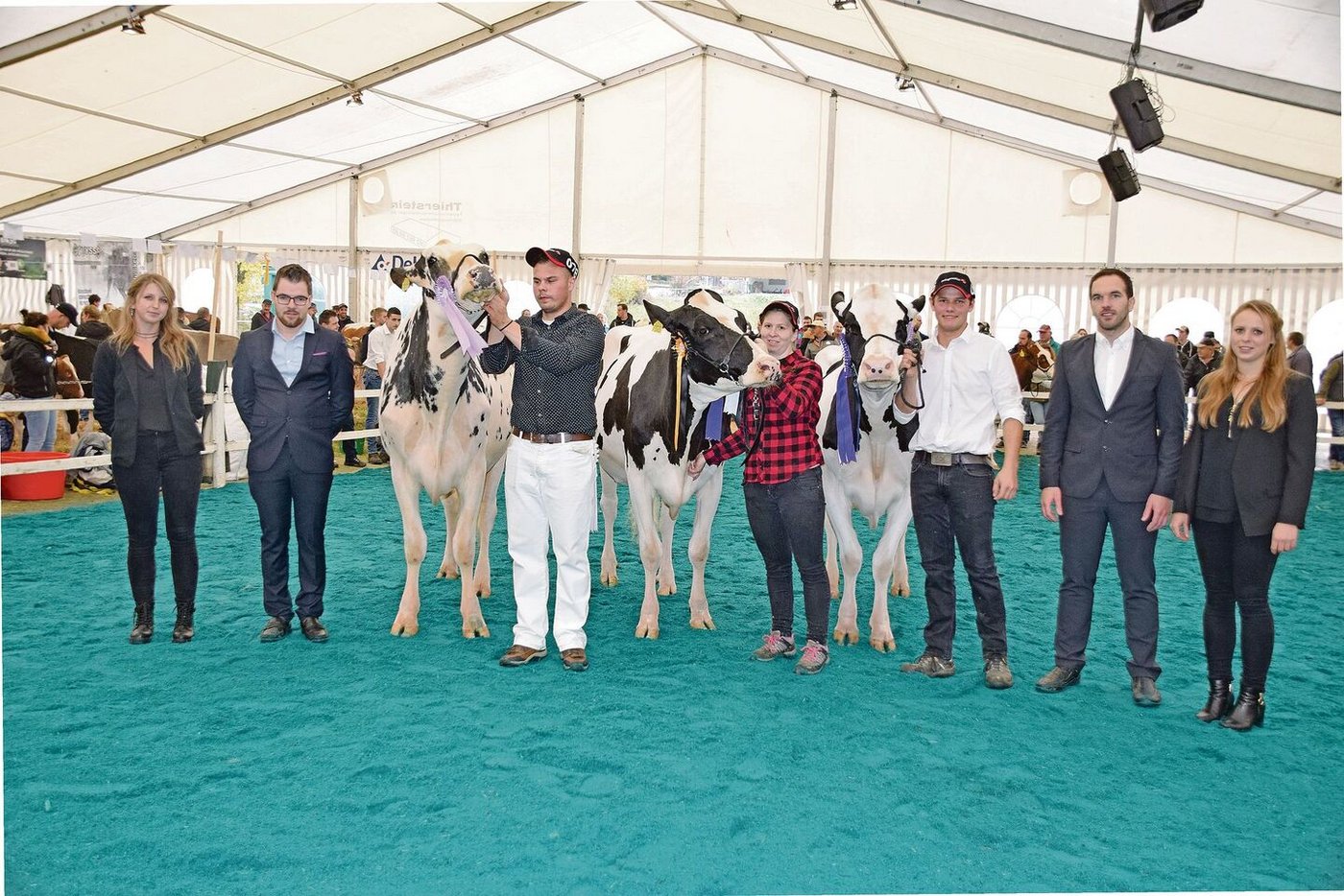 Intermediare Holstein (v. l. n. r.): Reserve: Jacobs Doorman Estrumate; Miss: Eptingen’s Bad Ilona; Mention: Flury’Pat Rossja.