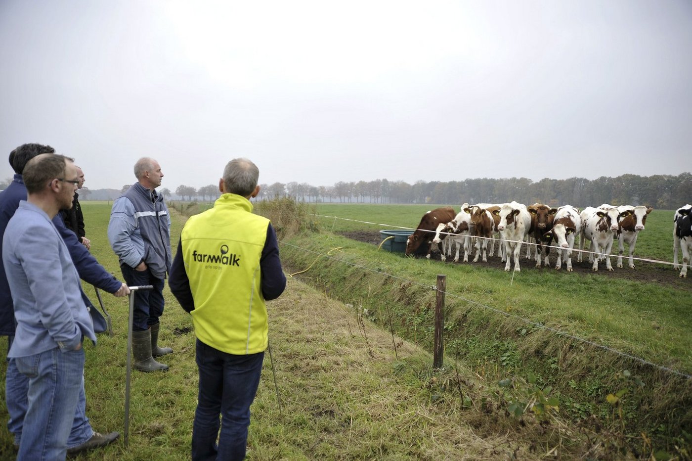 Bauern und Kühe müssen sich an die wieder aufkommende Haltungsform gewöhnen. (Bilder mvw)