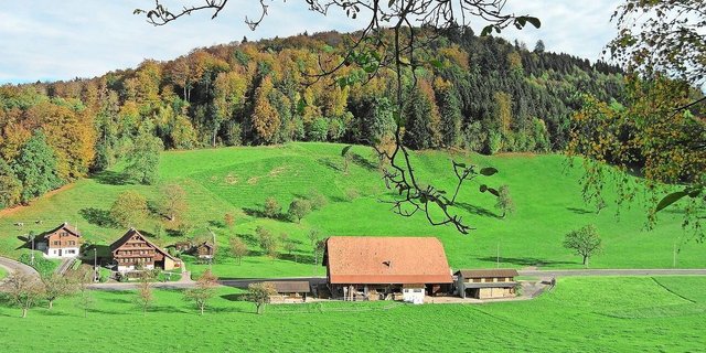Bei Hofübergaben will der Bundesrat die Abschreibedauer von Gebäuden und Grundstücken auf 20 beziehungsweise 25 Jahre erhöhen.