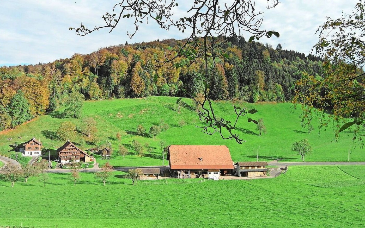 Bei Hofübergaben will der Bundesrat die Abschreibedauer von Gebäuden und Grundstücken auf 20 beziehungsweise 25 Jahre erhöhen.