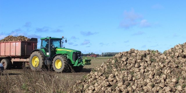 Der SVZ hält den Nationalrat dazu an, beim Einzelkulturbeitrag den Minderheitsantrag zu unterstützen. (Bild Pixabay)