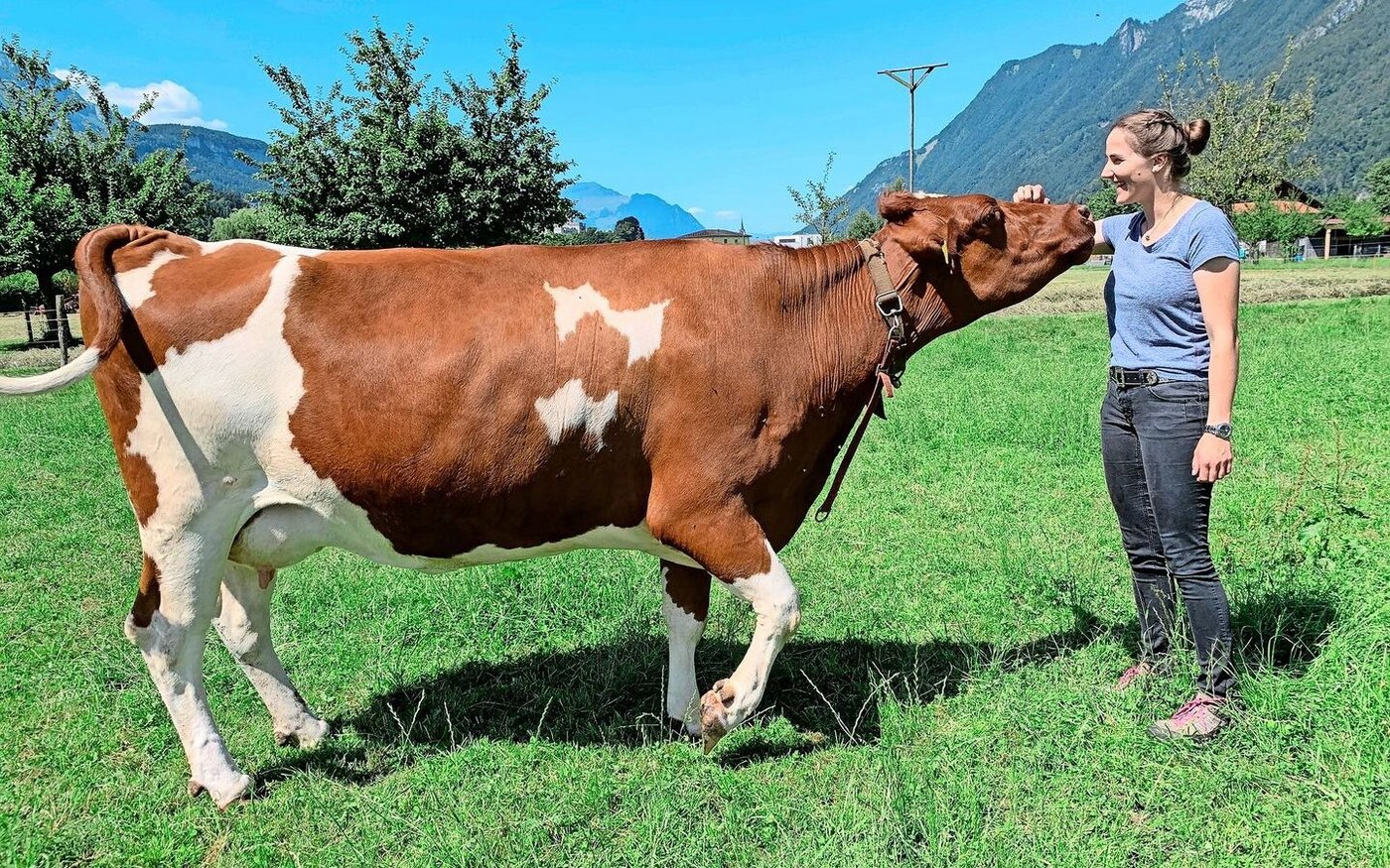 Enge Beziehung: Erika von Euw liebt den Umgang und die Arbeit mit den Tieren auf dem Hof. Hier auf der Weide mit den Swiss Fleckvieh Kühen.