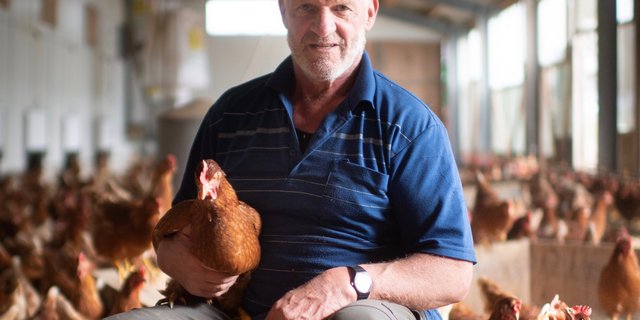 Josef Lenherr liefert den grössten Teil seiner Eier an die Migros. Einen Teil verkauft er direkt. Letztes Jahr stahl ein Mann 400 Franken Eiergeld aus einem Lagerraum. (Bild Benjamin Manser/St. Galler Tagblatt)