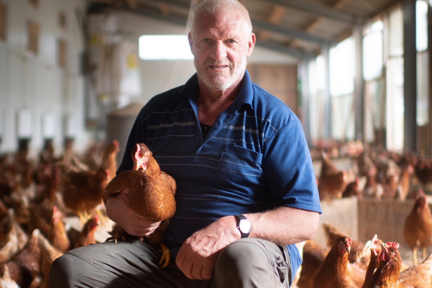 Josef Lenherr liefert den grössten Teil seiner Eier an die Migros. Einen Teil verkauft er direkt. Letztes Jahr stahl ein Mann 400 Franken Eiergeld aus einem Lagerraum. (Bild Benjamin Manser/St. Galler Tagblatt)