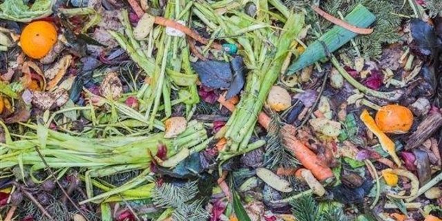 Lebensmittelverschwendung oder Food Waste ist ein gesellschaftliches Problem, über das seit einigen Jahren viel geschrieben wird. (Bild pd)