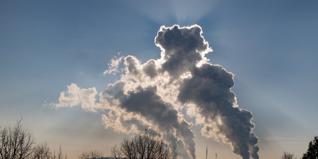 Nicht alle Treibhausgasemissionen der Landwirtschaft lassen sich vermeiden, wenn die Selbstversorgung bei 50 % liegen soll. (Bild Pixabay)