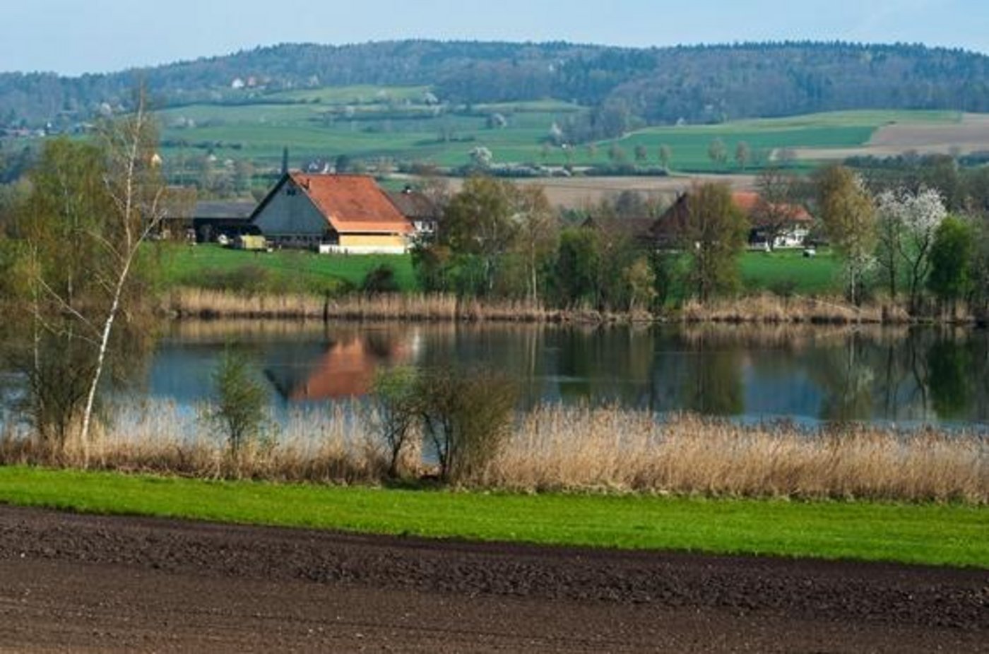 Die Abschwemmung von Pflanzenschutzmitteln gefährdet Gewässer. Massnahmen wie Pufferstreifen sollen das Risiko einer Abschwemmung reduzieren. (Bild Agroscope)