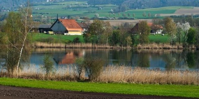 Die Abschwemmung von Pflanzenschutzmitteln gefährdet Gewässer. Massnahmen wie Pufferstreifen sollen das Risiko einer Abschwemmung reduzieren. (Bild Agroscope)