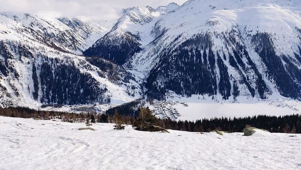 Den Sommer verbringen die Kühe des Betriebs Hischier hier auf der Grimsel, mit Blick auf die Gemeinde Oberwald.