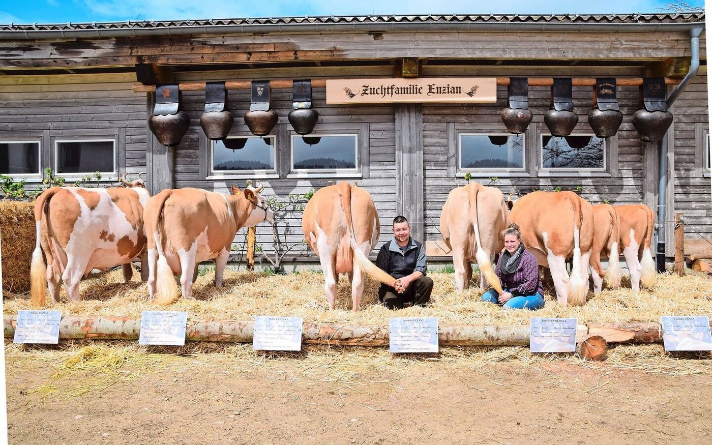 Christian und Laura Wüthrich freuen sich über ihre erste Zuchtfamilienschau.